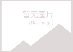 鹤岗兴山慕青计算机有限公司